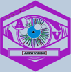 Anew Vision Logo